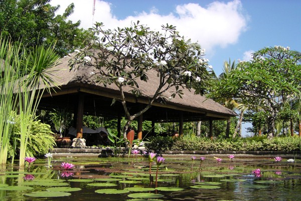 Villa Hanani 'Gardens' 